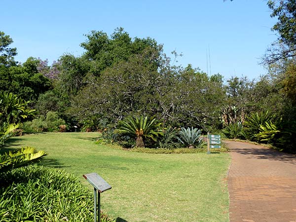 Pretoria National Botanical Garden