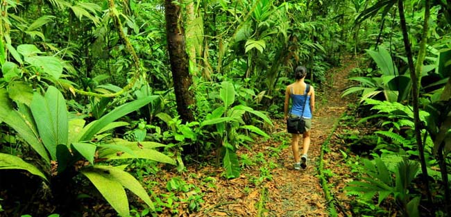 Parque Nacional Braulio Carrillo